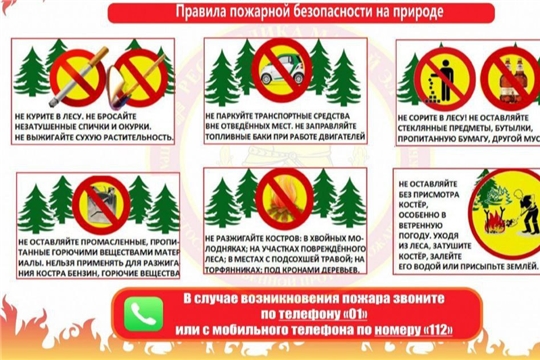 О правилах пожарной безопасности в природе