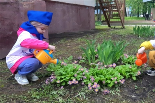 Тимуровцы помогают природе