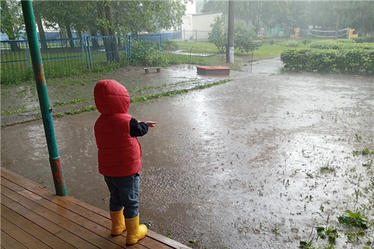 Летний дождь