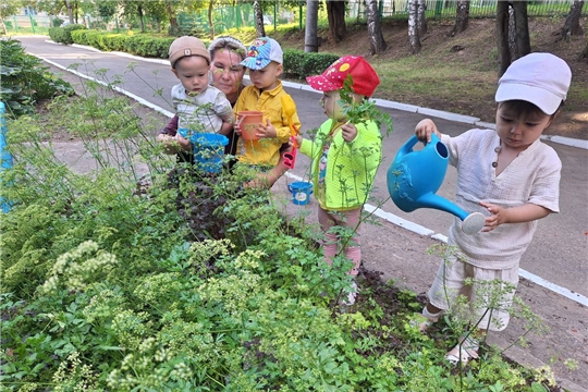 Зеленые витамины на грядке