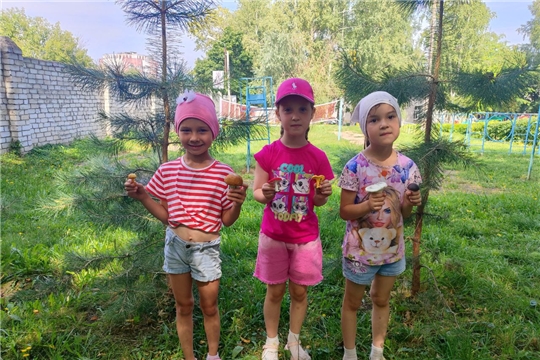 Осторожно, грибы!
