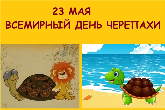 В День черепахи