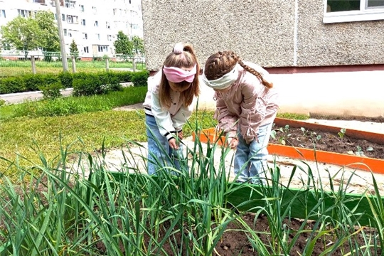 Зелень в детском питании: польза для здоровья