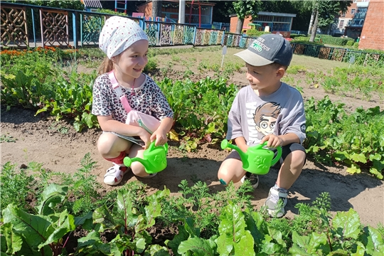 Полезные овощи