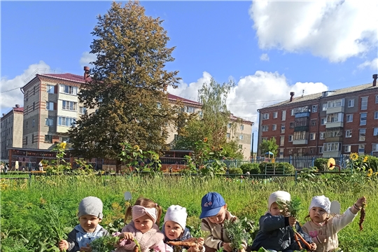 Морковь -это очень полезно!