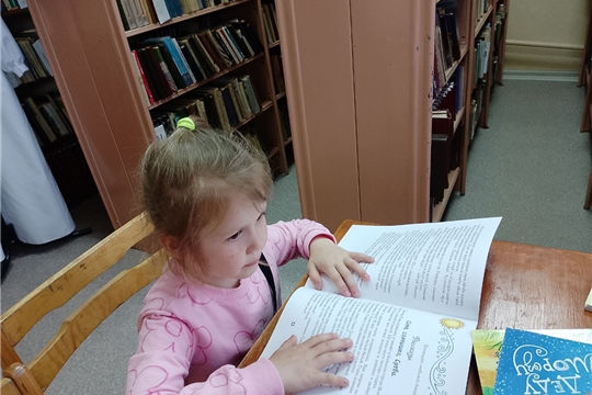 В Малокамаевской сельской библиотеке прошел литературный час «Поэзия мая»