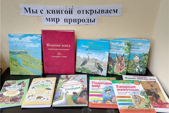 Экологический час «По Присурскому заповеднику» в Малокамаевской сельской библиотеке