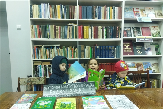Урок экологической этики «Экология начинается с тебя» в Тойгильдинской сельской библиотеке.