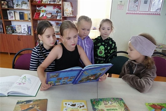 Час безопасности с юными читателями в Кадикасинской сельской библиотеке.