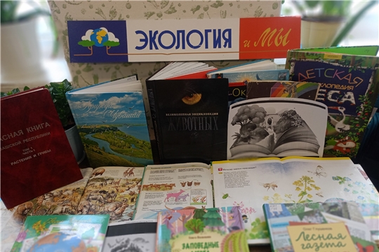 Экологическое путешествие «Чудесный мир природы» в Пандиковской сельской библиотеке