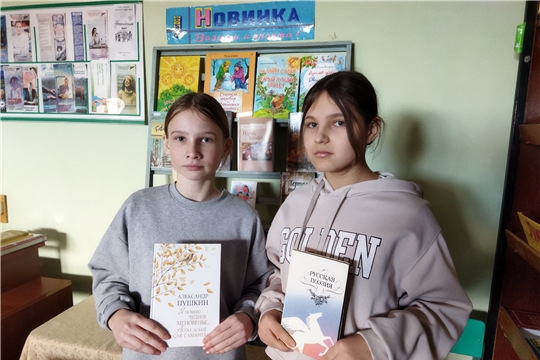 Час поэзии «Идут века, а Пушкин остается» в Новоатайской сельской библиотеке