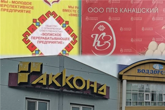 Экологическая поддержка для предприятий Чувашии