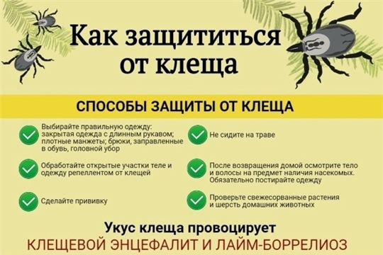«Клещи атакуют! Как защитить себя и близких?»