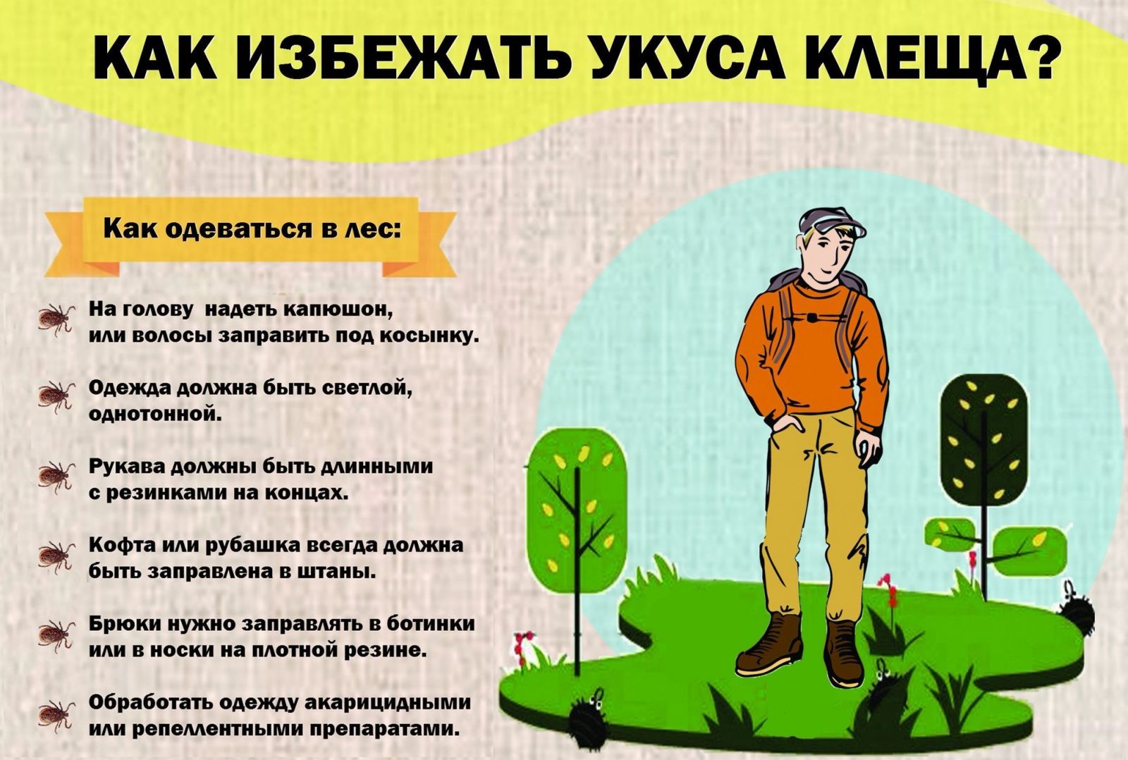 укус.jpg