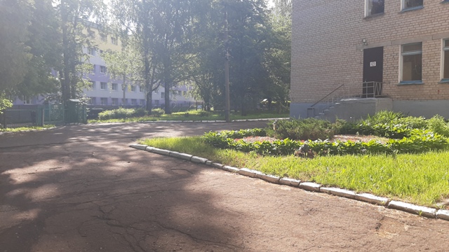 20260528_075014.jpg
