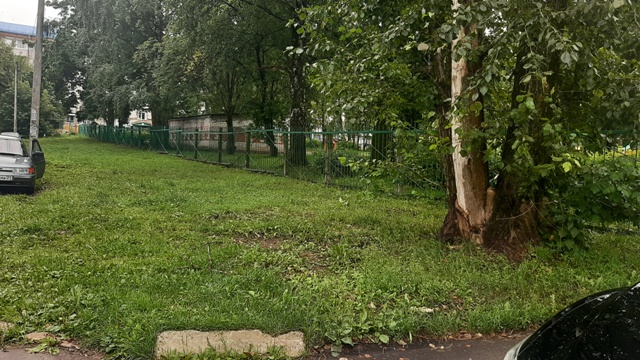 20260714_080431.jpg