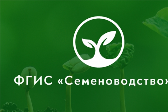 Чувашские аграрии полностью перешли на ФГИС «Семеноводство»