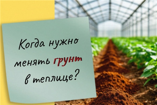 Когда требуется замена грунта в теплице? 