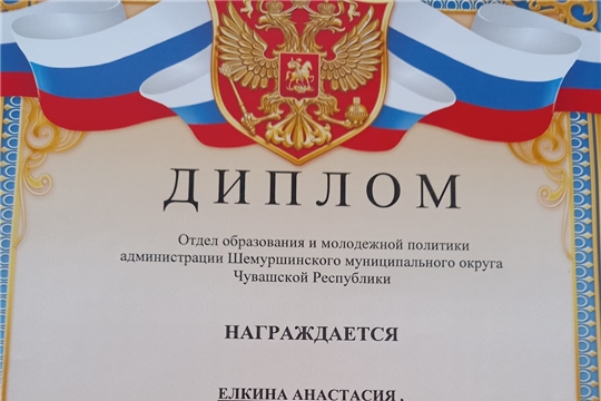 Участница детского театрального коллектива «Звездочки» Елкина Анастасия заняла 1 место в номинации «Художественное слово».
