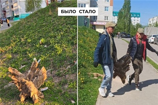 Ситуация: ремонт прошел, а пень остался