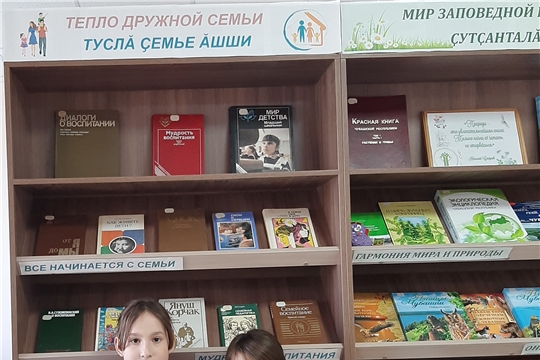 Обзор книжной выставки «Тепло дружной семьи» в Нижнекумашкинской сельской библиотеке