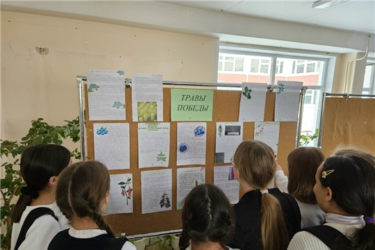 Травы, которые помогали побеждат