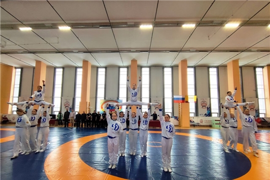 Чемпионат и Первенство по спортивной борьбе дисциплина панкратион 